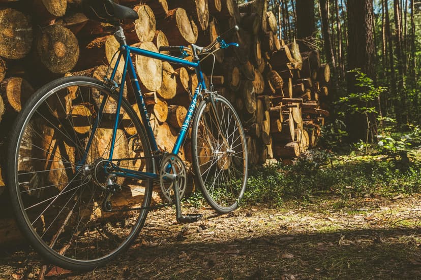 E-Bike