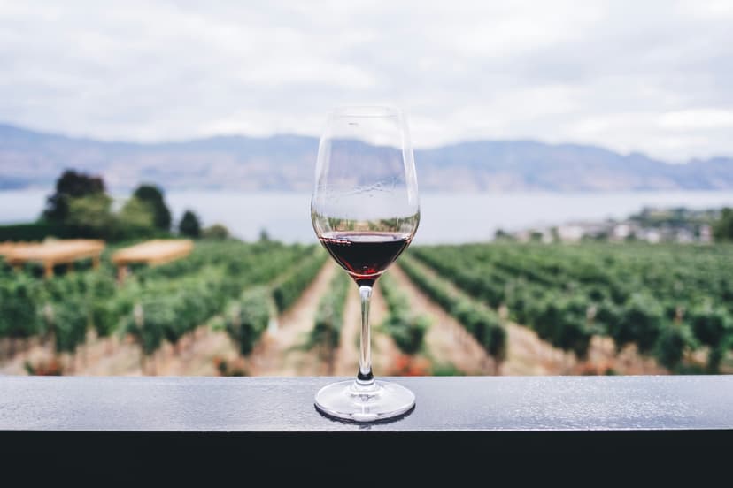 Degustazione di Vini