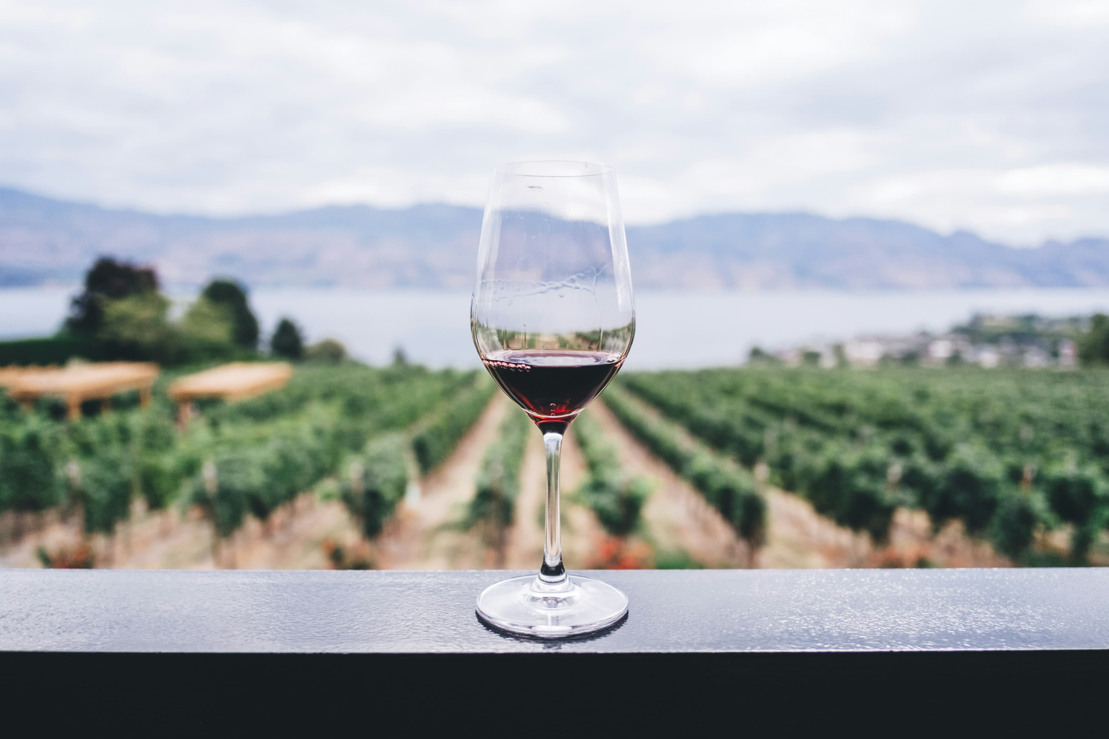 Degustazione di Vini